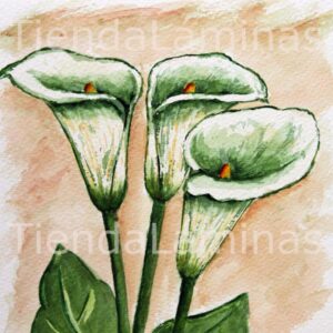 LÁMINA:F3-1130  40X40