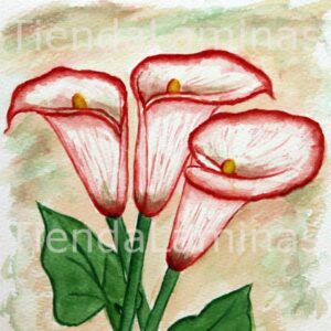 LÁMINA:F3-1126  20X20