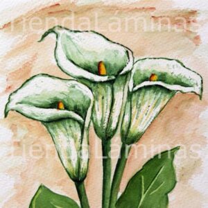 LÁMINA:F3-1129 40X40