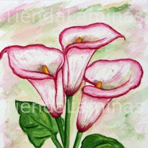 LÁMINA:F3-1131 40X40