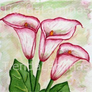 LÁMINA:F3-1132 40X40