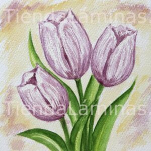 LÁMINA:F3-1133 40X40