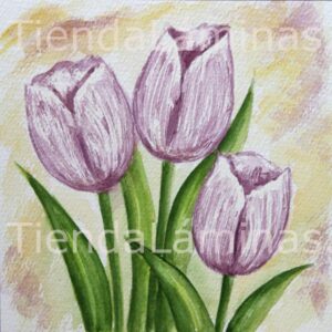 LÁMINA:F3-1134 40X40