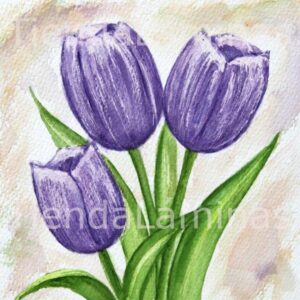 LÁMINA:F3-1135 20X20