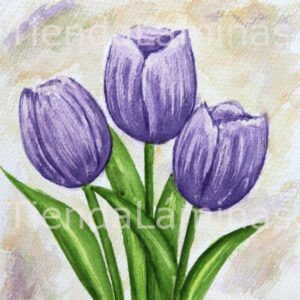 LÁMINA:F3-1136 20X20