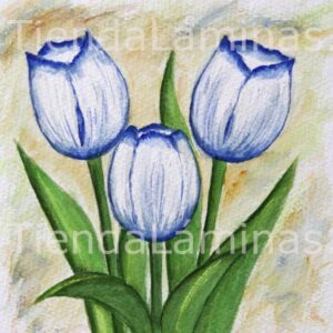 LÁMINA:F3-1137 20X20