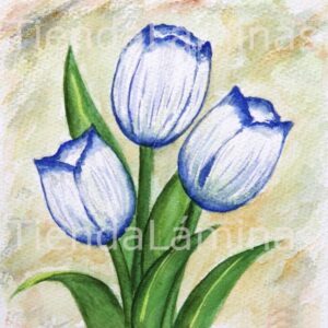 LÁMINA:F3-1138 40X40