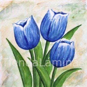 LÁMINA:F3-1140 40X40