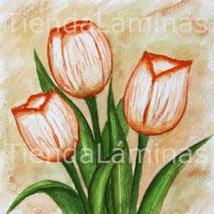 LÁMINA:F3-1141 40X40