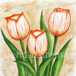 LÁMINA:F3-1142 40X40