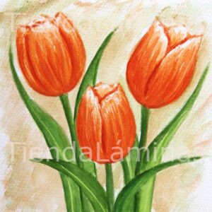 LÁMINA:F3-1144 40X40