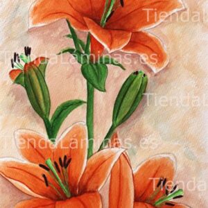 LÁMINA:F4-1184  30X60