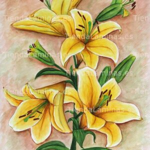 LÁMINA:F4-1186  50X60