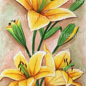 LÁMINA:F4-1187  30X60