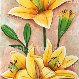 LÁMINA:F4-1188  30X60