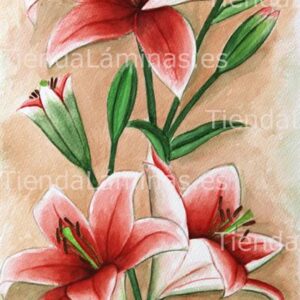 LÁMINA:F4-1190  30X60