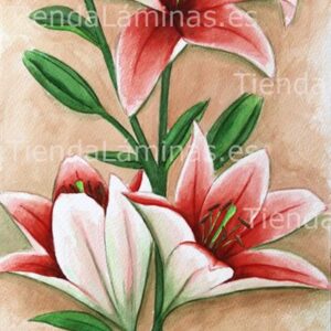 LÁMINA:F4-1191  30X60