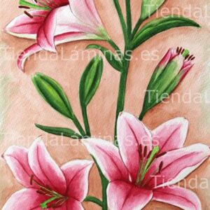 LÁMINA:F4-1196  30X60