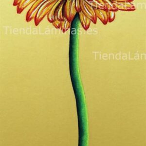 LÁMINA:F4-1199 25X56