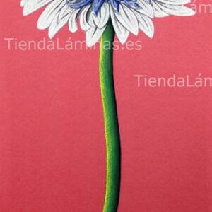 LÁMINA:F4-1201 25X56