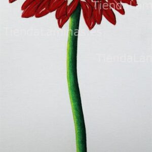 LÁMINA:F4-1202 35X80