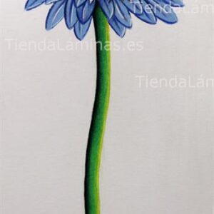 LÁMINA:F4-1203 25X56