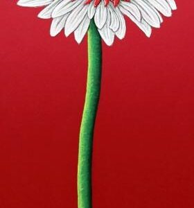 LÁMINA:F4-1206 35X80