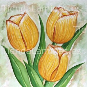 LÁMINA:F4-1213  60X60