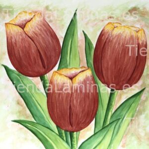 LÁMINA:F4-1218  60X60