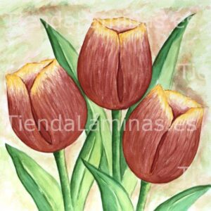 LÁMINA:F4-1219  60X60