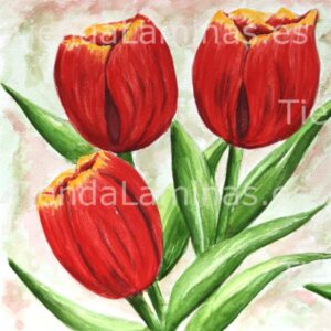 LÁMINA:F4-1221  60X60