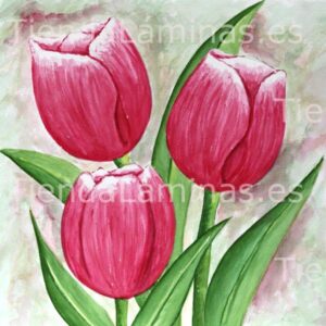 LÁMINA:F4-1225  60X60