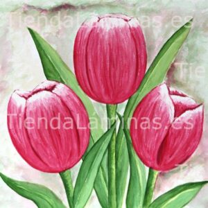 LÁMINA:F4-1226  60X60