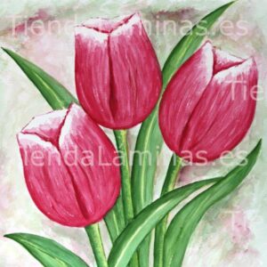 LÁMINA:F4-1227  60X60