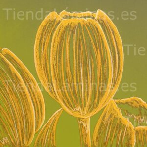 LÁMINA: F6-1408 60X60