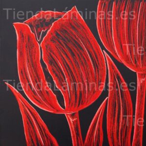 LÁMINA:F5-1323  60X60