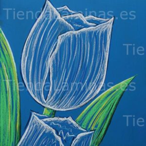 LÁMINA:F5-1325  60X60