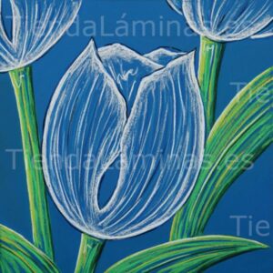 LÁMINA:F5-1326  60X60