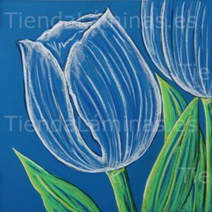 LÁMINA:F5-1327  60X60