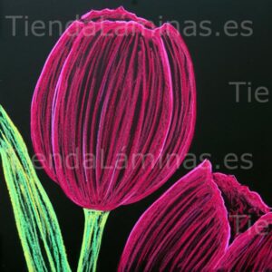 LÁMINA:F5-1335  60X60