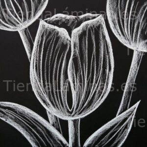 LÁMINA:F5-1337  60X60