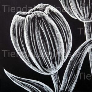 LÁMINA:F5-1338  60X60