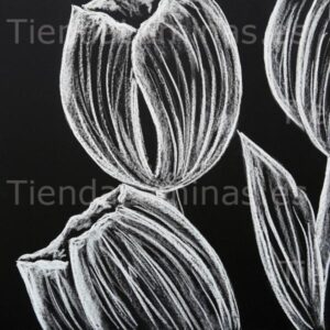 LÁMINA:F5-1339  60X60