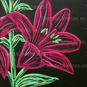 LÁMINA:F5-1341  60X60