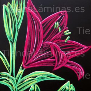 LÁMINA:F5-1343  60X60