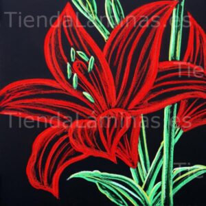 LÁMINA:F5-1346 60X60