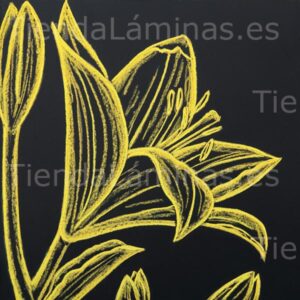 LÁMINA:F5-1348  60X60