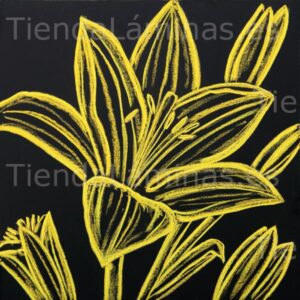 LÁMINA:F5-1351  60X60