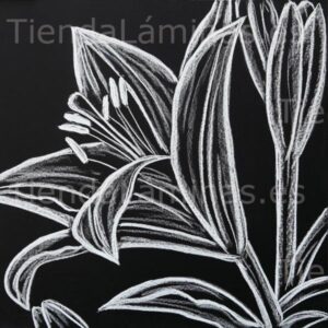 LÁMINA:F5-1352  60X60