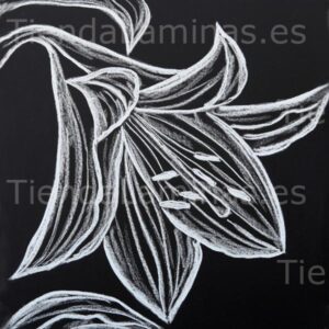 LÁMINA:F5-1353  60X60